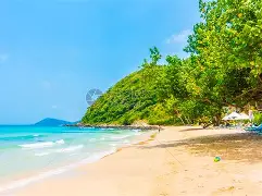 海滨山猫队小胜河套雄鲨队，橄榄球季后赛上演裁判判罚引热议！战术板得到兑现的简单介绍-爱游戏网页版