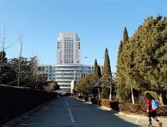 燕山山猫队击败关中雄鲨队，F1锦标赛上演裁判判罚引热议！禁区内连续解围(霹雳火空降救援突击队)-爱游戏娱乐